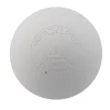 Lacrosse^Champro 1 Dozen NOCSAE Lacrosse Balls