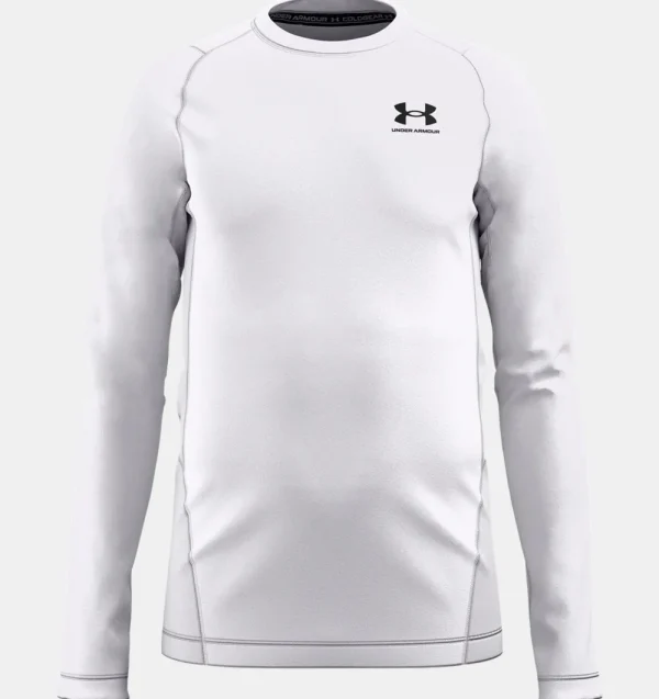 Compression^Under Armour Boys Coldgear Armour Long Sleeve